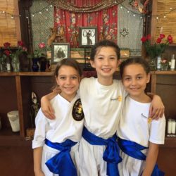 Testing Fee - Gold/Blue/Green Sash