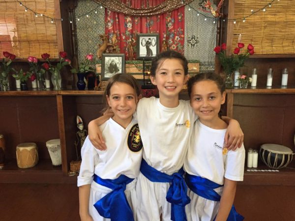 Testing Fee - Gold/Blue/Green Sash